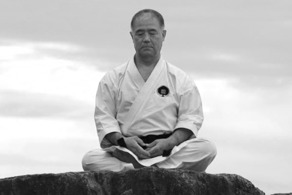 I 2013 udnævnte den japanske regering Morio Higaonna Sensei som en levende kulturskat grundet hans viden, evner og bestræbelser for bevaringen af den originale Okinawa Goju-Ryu-karate